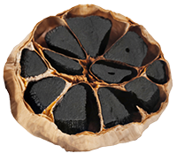 sw-knoblauch